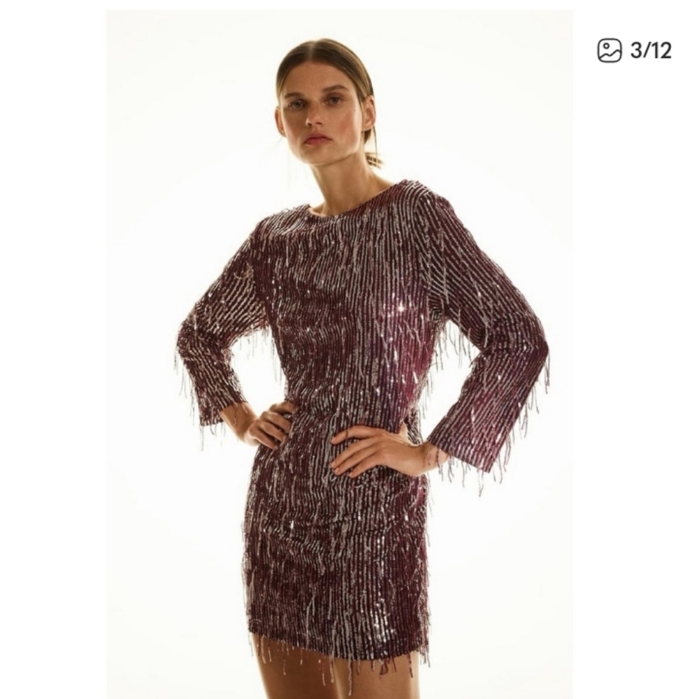 NWT ZARA Fringe Sequin Burgundy Long Sleeve Dress